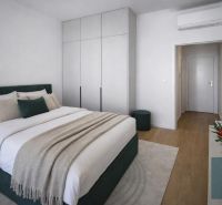 Master bedroom in a two-room apartment with wood-patterned flooring and a built-in wardrobe.