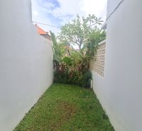 A small garden between white walls in a villa in Bali.