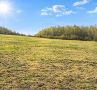 A sunny day on agricultural and forest land in Kotrčina Lúčka, surrounded by forest.
