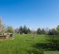 The garden of the family house in Lupoč with fruit trees on the green lawn.