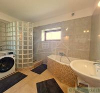 A bathroom in a family house with a bathtub, a washing machine, and a glass block shower.