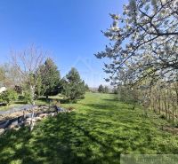 The garden of a family house in Lupoč with blooming trees and a grassy area.