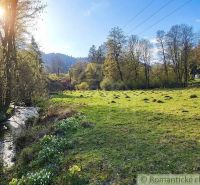 Sunlight filters through the trees in a garden near Ľubietová, with a stream and flowers.