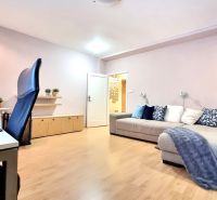 Living room in a one-bedroom apartment with a desk, sofa, and wooden floor decor.