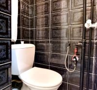 A bathroom in a studio apartment with black glossy tiles and a white toilet.