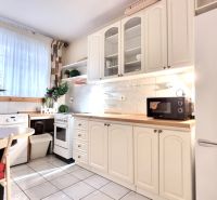 A kitchen in a studio apartment with white cabinets, a microwave, and a plant on the table.
