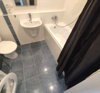 A bathroom in a studio apartment with a sink, bathtub, washing machine, and toilet.