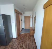 A narrow entrance space in a studio apartment with a wooden decor floor and a refrigerator.