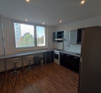 A kitchen in a studio apartment with black cabinets and a wood-patterned floor.