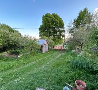 The garden of a family house in Kosihovce with a lawn, trees, and a small wooden structure.