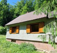 A cottage with a green surrounding in Moravany nad Váhom on Striebornica Street, surrounded by forest.