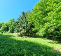 A cabin in the woods among the trees at Striebornica in Moravany nad Váhom.
