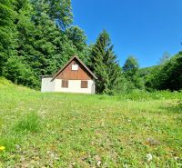 A cottage surrounded by greenery on Striebornica Street in Moravany nad Váhom.