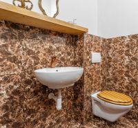 A bathroom in a cabin with marble cladding, a sink, and a toilet with a wooden decor.