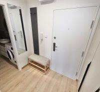 Interior of a 2-room apartment with a wooden decor floor, a bench, and entrance doors.