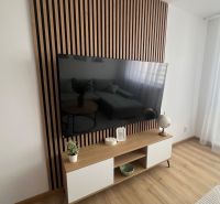 Living room in a 2-room apartment with a TV on a wooden decor and minimalist furniture.