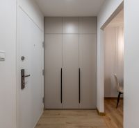 Entrance hallway in a 2-room apartment with a spacious wardrobe and flooring with a wooden decor.