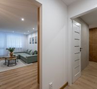 Interior of a 2-room apartment with a wooden decor floor and a spacious sofa in the living room.
