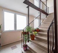 A staircase with flower pots in a 2-room apartment, natural light through large windows.
