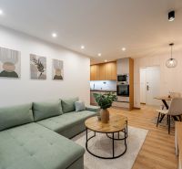 Living room of a two-room apartment with furniture, kitchen, and wooden decor flooring.