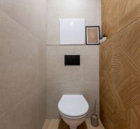 A small bathroom in a 2-room apartment with a striking wall and floor with a wood decor.
