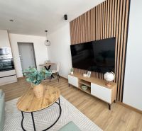 Living room in a two-room apartment with wood decor and minimalist furniture.