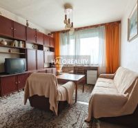 Living room in a four-room apartment with furniture, a television, a sofa, and flowers.