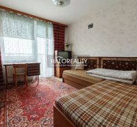 A room in a 4-room apartment with a carpet, two beds, and a writing desk.