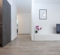 Living room in a two-room apartment with wood-patterned flooring and white furniture.