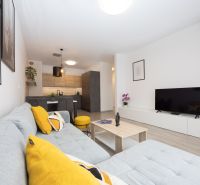 Living room in a two-room apartment with a wooden decor floor and a modern kitchen.