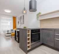 Kitchen and living room in a 2-room apartment with modern lighting and wooden decor flooring.