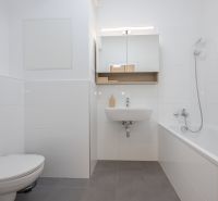 Bathroom in a 2-room apartment with a shower, sanitary facilities, and a mirrored cabinet.