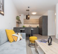 A stylish living area with a kitchen, wooden decor flooring, in a two-room apartment.