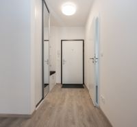 A hallway with a mirrored wardrobe and a floor with a wooden decor, 2-room apartment.