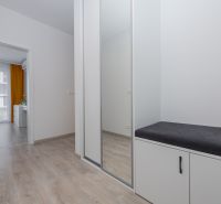 Interior of a 2-room apartment with a wood-patterned floor and a built-in wardrobe.