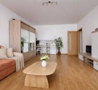 Living room with wood-patterned flooring and a comfortable sofa in a studio apartment.