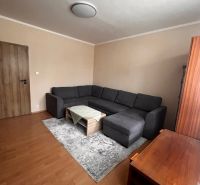 Living room in a two-room apartment with a wooden decor floor, dark sofa, and carpet.