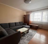 Living room in a 2-room apartment with a wooden decor floor and gray furniture.