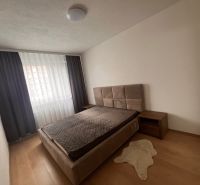 A bedroom in a 2-room apartment with a wooden decor floor and a bed by the window.