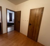 A hallway in a 2-room apartment with a wooden decor floor and wooden doors.