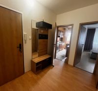 Interior of a 2-room apartment with a wooden decor floor, a mirror, and two rooms.