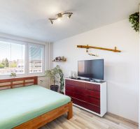 Bedroom in a 3-room apartment with a bed, television, dresser, and floor with a wooden decor.