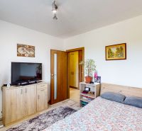 A bedroom in a 3-room apartment with a television, pictures, and a plant on the dresser.