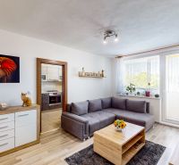 Living room in a 3-room apartment with a sofa, elephant decor, and wooden-patterned flooring.