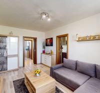 A living room with a wood-patterned floor and a gray sofa in a three-room apartment.