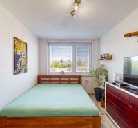 Bedroom in a 3-room apartment with a bed, a picture of a leopard, and a television.