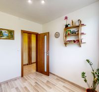 Interior of a room with light walls, wood-decorated flooring, shelves, and greenery.