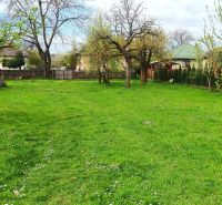 Greenery and fruit trees on a plot suitable for living in Strážske.