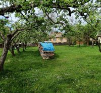 Garden with fruit trees in Strážske suitable for residential plots.