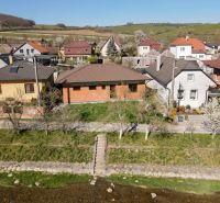 Family houses in the village of Drietoma surrounded by greenery and spring nature.